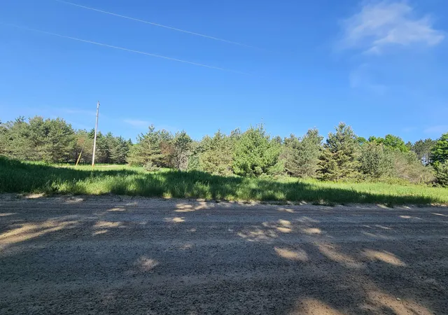 6th image of 0000 V/l Nw Smith Rd, Rapid City, MI 49676 | MLS# 80070987