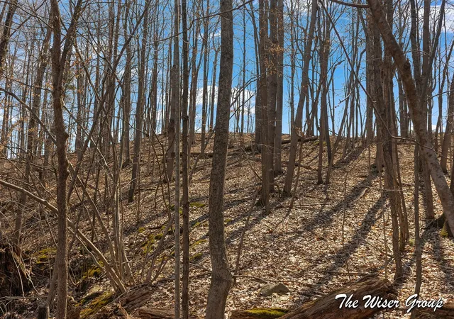 Photo 4 of Sale Pending at Parcel 2 Rector St, Rockford, MI 49341 | MLS# 70544276 | Listing updated on 2026-08-09