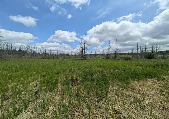 Photo 1 of Land for sale at M 48, Pickford, MI 49774 | MLS# 80069696 | Listing updated on 2026-09-05