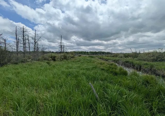 Photo 2 of Land for sale at M 48, Pickford, MI 49774 | MLS# 80069696 | Listing updated on 2026-09-05
