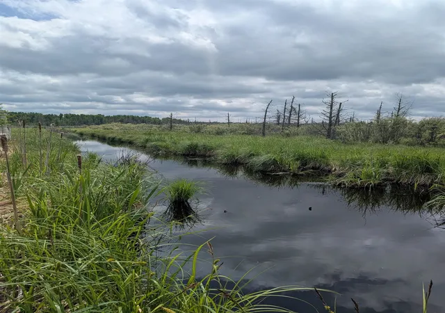Photo 3 of Land for sale at M 48, Pickford, MI 49774 | MLS# 80069696 | Listing updated on 2026-09-05
