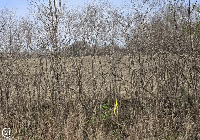 Homes for sale in Richmond Twp, MI | 0 Meskill (lot D) Rd, Richmond Twp, MI 48063 | MLS# 50172630