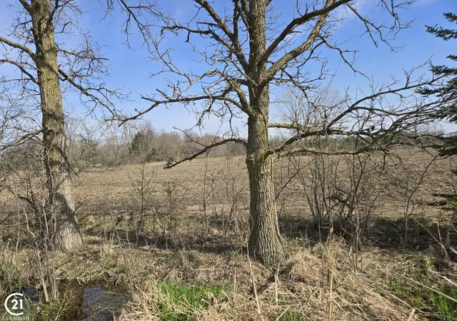 Homes for sale in Richmond Twp, MI | 0 Meskill (Lot D) Rd, Richmond Twp, MI 48063 | MLS# 50172630