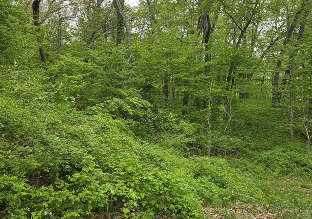 Homes for sale in Gregory, MI | Vacant Crows Vu, Gregory, MI 48137 | MLS# 70534245