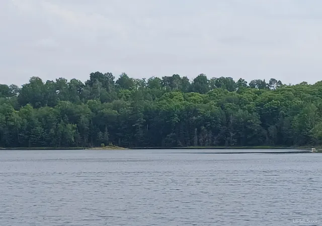 Photo 3 of Land for sale at Lot 1 County Line Lake Xrd, Watersmeet, MI 49969 | MLS# 50203317 | Listing updated on 2026-08-05