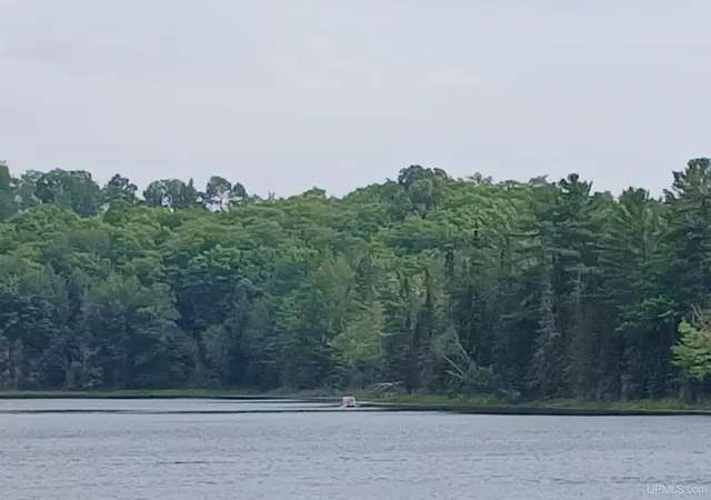 Photo 3 of Land for sale at Lot 1 County Line Lake Xrd, Watersmeet, MI 49969 | MLS# 50203317 | Listing updated on 2026-08-05