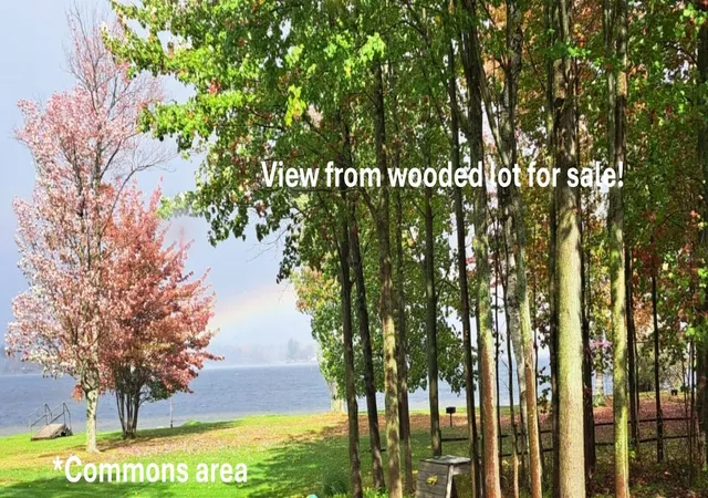 5th image of Xx N Salisbury, Gladwin, MI 48624 | MLS# 80068420