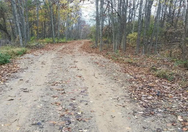 Photo 2 of Land for sale at 123 N Jerzine Rd, Holly, MI 48442 | MLS# 60293450 | Listing updated on 2026-08-06