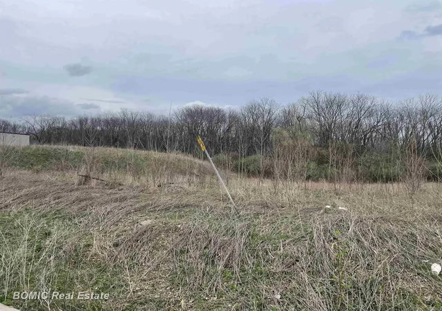 Homes for sale in Dimondale, MI | Lot 6 Harvest Park Dr, Dimondale, MI 48821 | MLS# 50204677