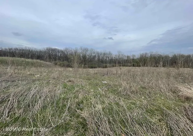 Homes for sale in Dimondale, MI | Lot 6 Harvest Park Dr, Dimondale, MI 48821 | MLS# 50204677