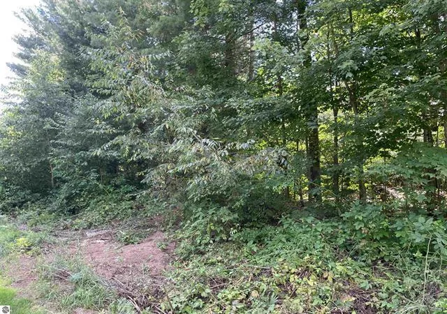 Photo 4 of Sale Pending at 0 White Pine Dr, Cadillac, MI 49601 | MLS# 70553812 | Listing updated on 2026-08-20