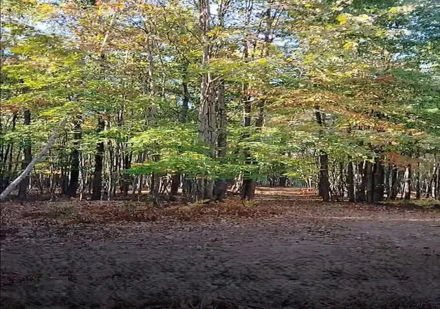 2nd image of 3678 N Dublin Rd, Midland, MI 48642 | MLS# 80068803