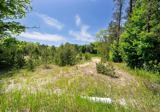 Homes for sale in Thompsonville, MI | 7764 S Weldon Rd, Thompsonville, MI 49683 | MLS# 80070077