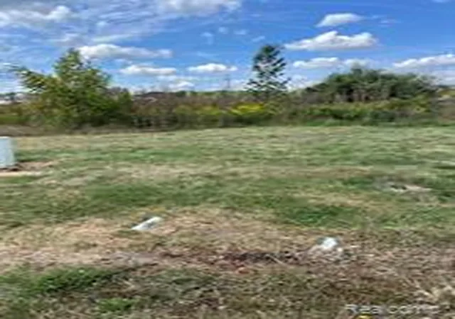 Photo 2 of Land for sale at Vacant Land Grand River Ave, Fowlerville, MI 48836 | MLS# 61009055 | Listing updated on 2026-07-15