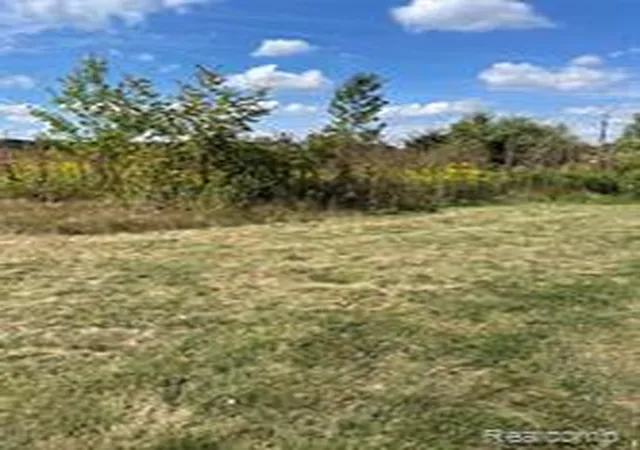 Photo 3 of Land for sale at Vacant Land Grand River Ave, Fowlerville, MI 48836 | MLS# 61009055 | Listing updated on 2026-07-15