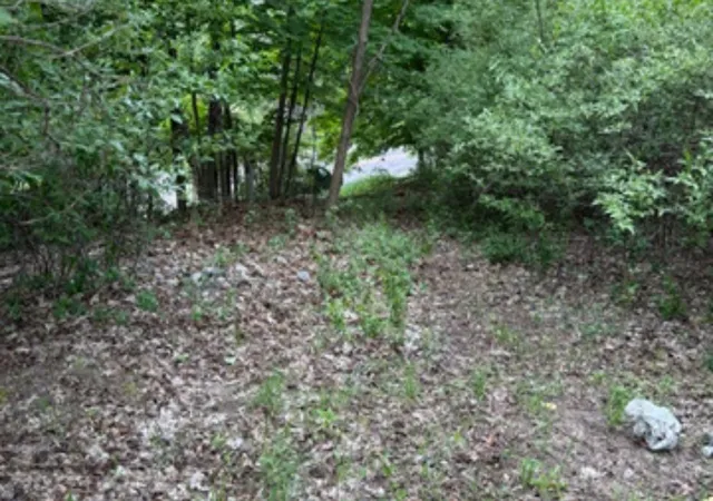 Homes for sale in Williamsburg, MI | 27 Bunker Hill Rd, Williamsburg, MI 49690 | MLS# 80069169