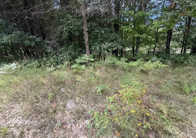 Photo 1 of Land for sale at Tbd 34 Holmes St, Lake George, MI 48633 | MLS# 50199040 | Listing updated on 2026-08-25