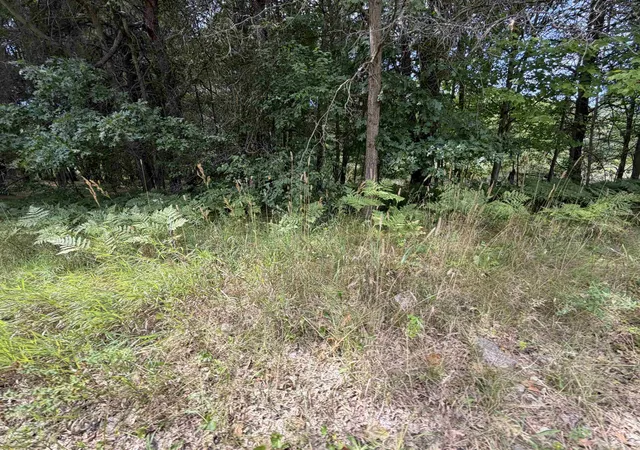 Photo 2 of Land for sale at Tbd 34 Holmes St, Lake George, MI 48633 | MLS# 50199040 | Listing updated on 2026-08-25