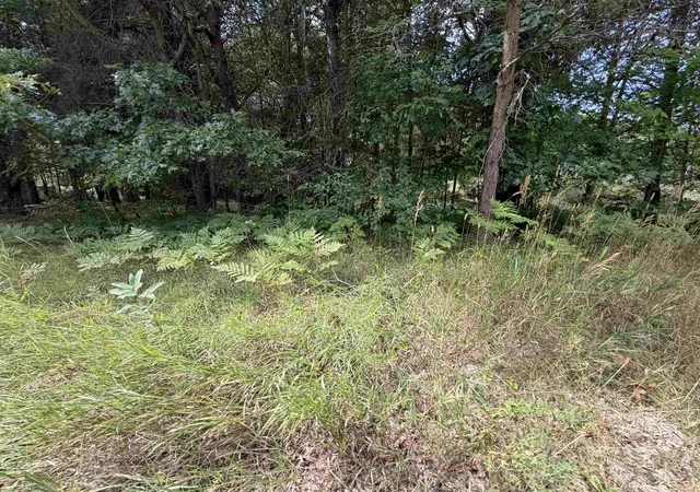 Photo 3 of Land for sale at Tbd 34 Holmes St, Lake George, MI 48633 | MLS# 50199040 | Listing updated on 2026-08-25