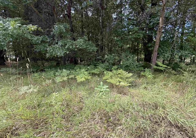 Photo 3 of Land for sale at Tbd 34 Holmes St, Lake George, MI 48633 | MLS# 50199040 | Listing updated on 2026-08-25