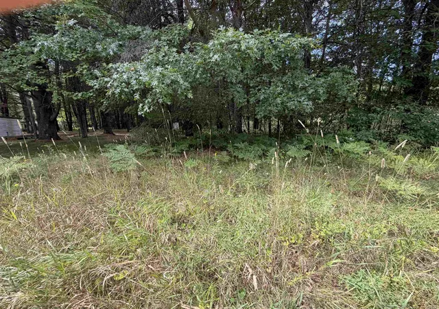 Photo 4 of Land for sale at Tbd 34 Holmes St, Lake George, MI 48633 | MLS# 50199040 | Listing updated on 2026-08-25