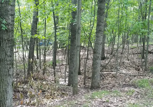 Photo 4 of Land for sale at 11010 Shawnee Trl, Stanwood, MI 49346 | MLS# 70541972 | Listing updated on 2026-08-25