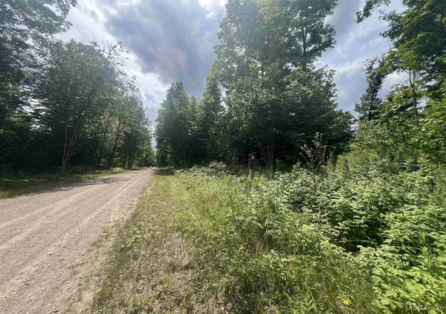 Photo 1 of Land for sale at Tbd Little Bear Rd, Iron River, MI 49935 | MLS# 50217359 | Listing updated on 2026-08-05
