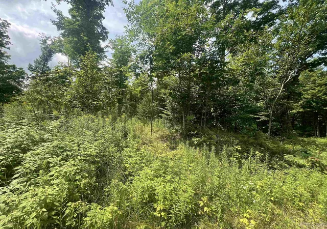 Photo 2 of Land for sale at Tbd Little Bear Rd, Iron River, MI 49935 | MLS# 50217359 | Listing updated on 2026-08-05