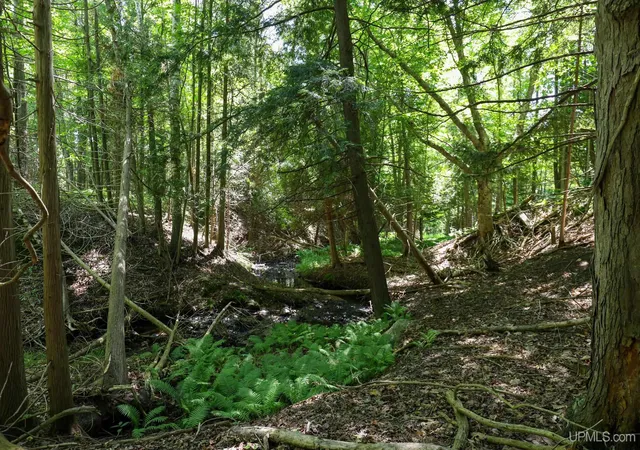 Photo 3 of Land for sale at 960 W And 980 Orianna Dr, Marquette, MI 49855 | MLS# 50214637 | Listing updated on 2026-07-16
