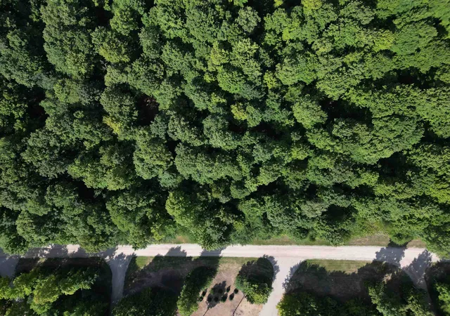 Photo 2 of Land for sale at 0000 S Honeybee Rd, Empire, MI 49621 | MLS# 80072818 | Listing updated on 2026-09-11