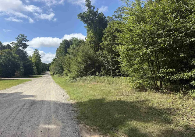 Photo 3 of Land for sale at 0000 S Honeybee Rd, Empire, MI 49621 | MLS# 80072818 | Listing updated on 2026-09-11