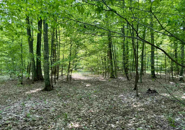 Photo 4 of Land for sale at 0000 S Honeybee Rd, Empire, MI 49621 | MLS# 80072818 | Listing updated on 2026-09-11