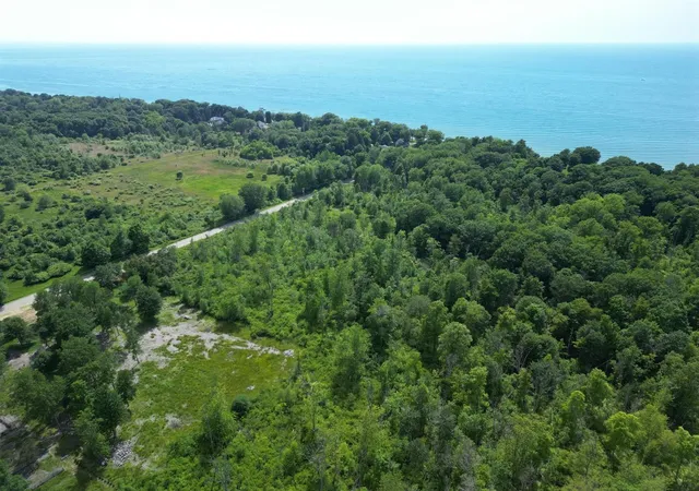 Homes for sale in Saugatuck, MI | 00 Wiley Road, Saugatuck, MI 49453 | MLS# 70530389