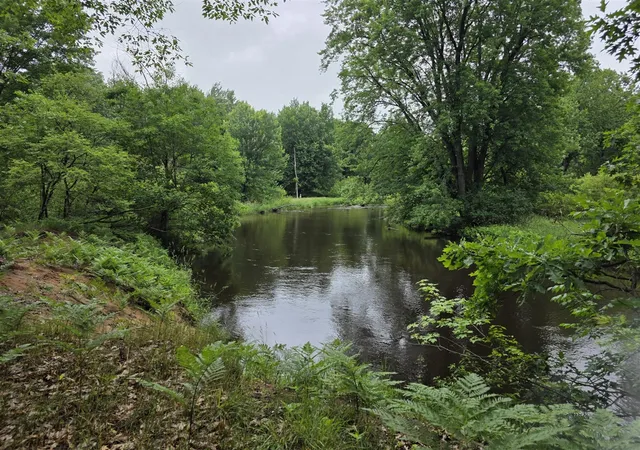 Land for sale at Madison Rd, Hesperia, MI 49421 | MLS# 70540457