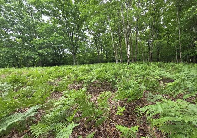 Photo 1 of Land for sale at Madison Rd, Hesperia, MI 49421 | MLS# 70540457 | Listing updated on 2026-07-18