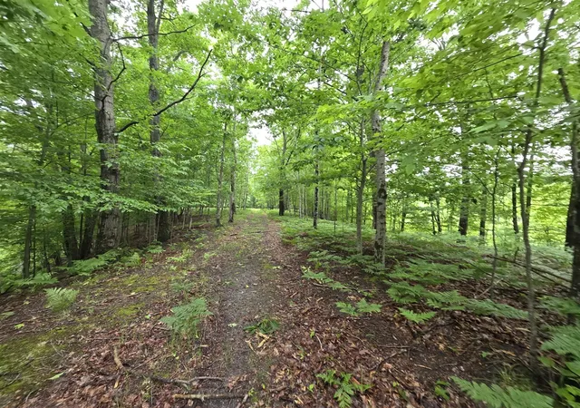 Photo 2 of Land for sale at Madison Rd, Hesperia, MI 49421 | MLS# 70540457 | Listing updated on 2026-07-18