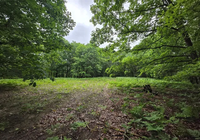 Photo 3 of Land for sale at Madison Rd, Hesperia, MI 49421 | MLS# 70540457 | Listing updated on 2026-07-18