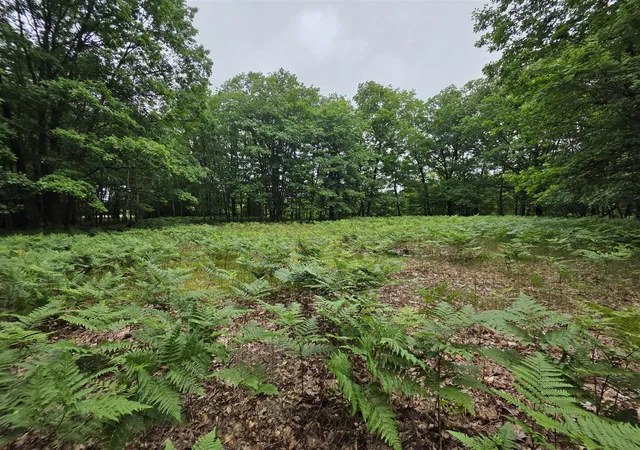 Photo 4 of Land for sale at Madison Rd, Hesperia, MI 49421 | MLS# 70540457 | Listing updated on 2026-07-18