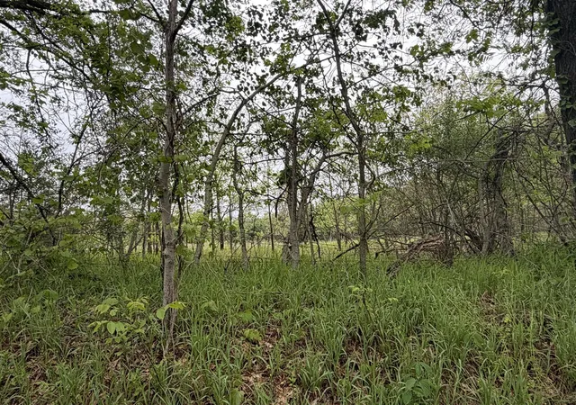 14th image of 11020 Morgan Mills Ave, Greenville, MI 48838 | MLS# 70516105