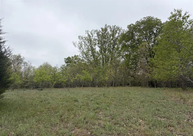 3rd image of 11020 Morgan Mills Ave, Greenville, MI 48838 | MLS# 70516105