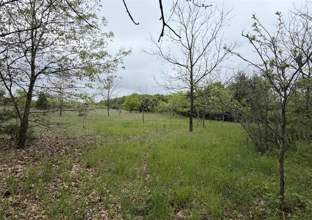 5th image of 11020 Morgan Mills Ave, Greenville, MI 48838 | MLS# 70516105