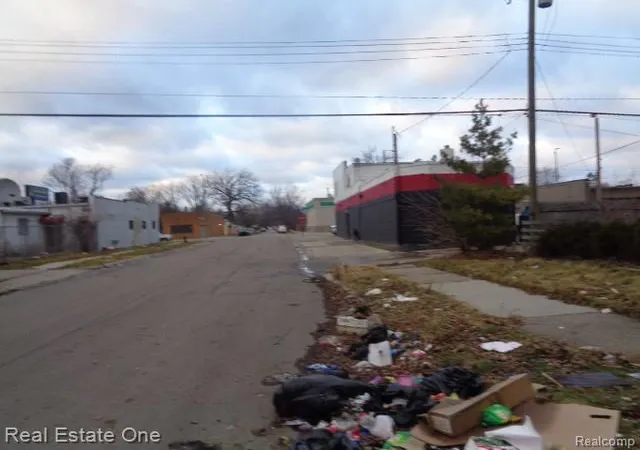 49th image of 4880 Lodewyck St, Detroit, MI 48224 | MLS# 60964251