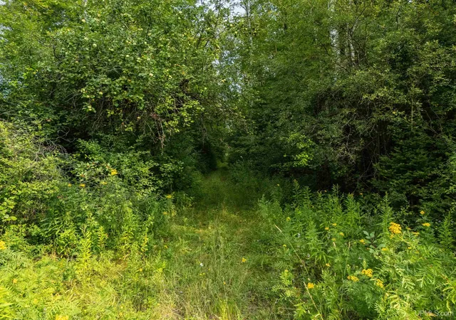 Photo 2 of Land for sale at Tbd Sunset Lake Rd, Iron River, MI 49935 | MLS# 50218241 | Listing updated on 2026-08-14