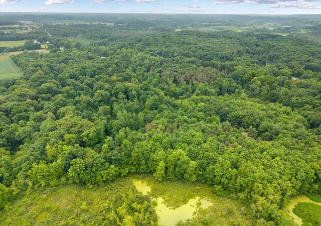 Photo 3 of Land for sale at V/l S M 43, Hastings, MI 49058 | MLS# 70550312 | Listing updated on 2026-09-09