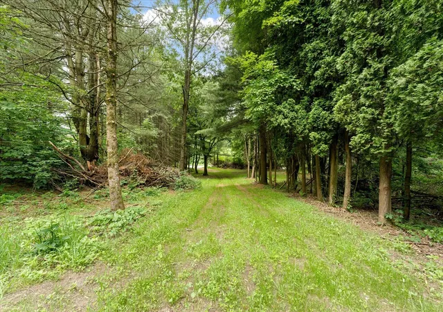Photo 4 of Land for sale at V/l S M 43, Hastings, MI 49058 | MLS# 70550312 | Listing updated on 2026-09-09