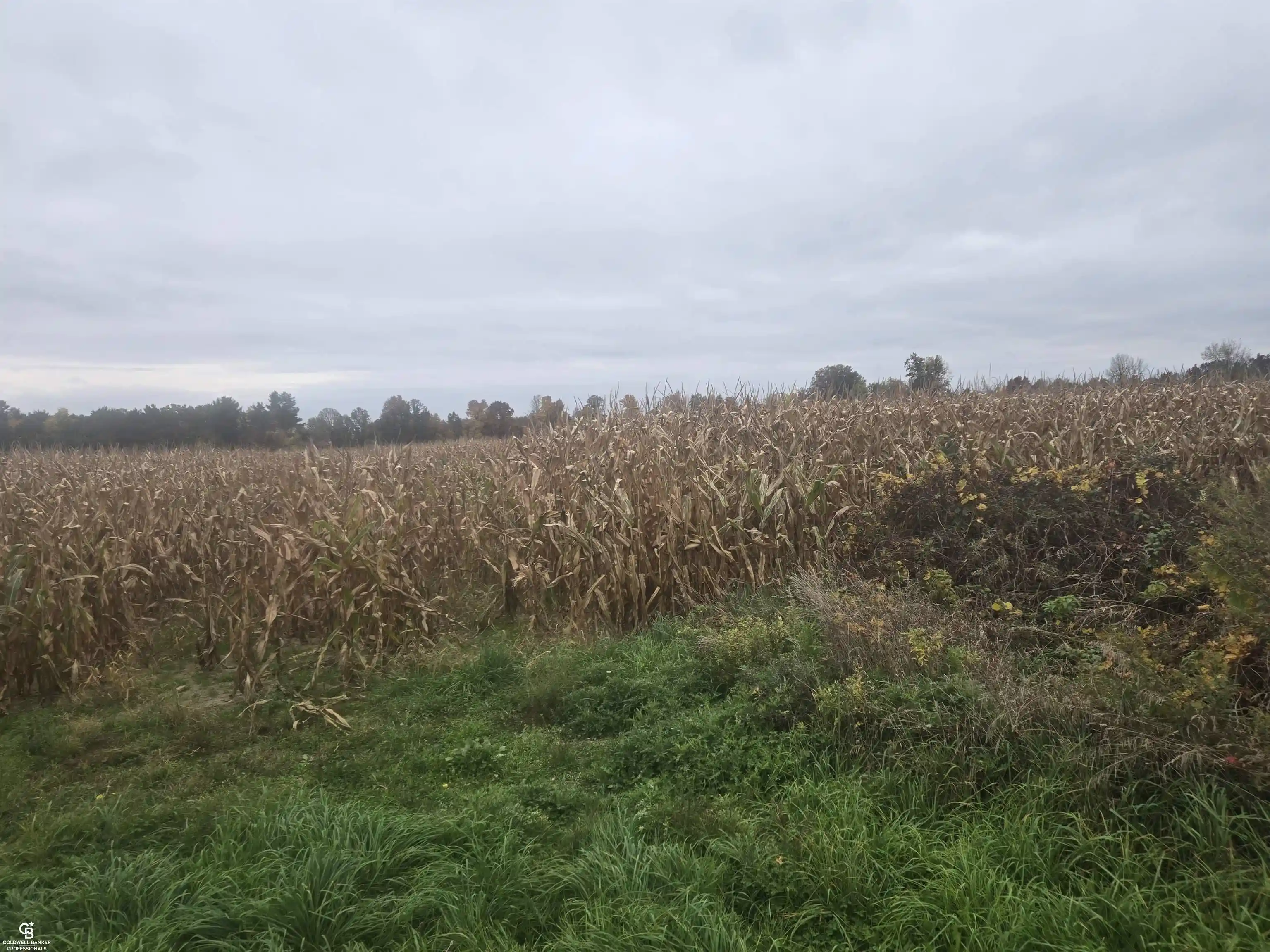 Land for sale at 00 Brown Vl Rd, Avoca, MI 48006 | MLS# 50225261