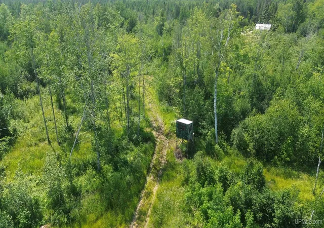 41st image of 2184 N N Gulliver Lake Rd, Gulliver, MI 49840 | MLS# 50214552