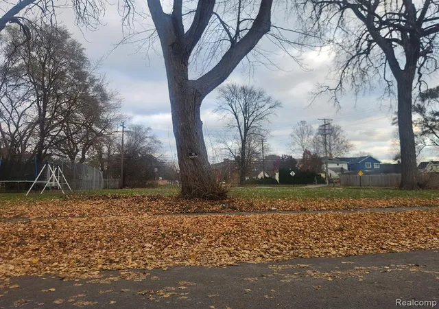 Photo 3 of Land for sale at 1408 Lansing, Detroit, MI 48209 | MLS# 40147018 | Listing updated on 2026-07-21