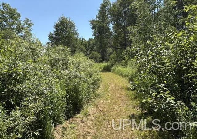 Homes for sale in Wakefield, MI | 156 Sordahl Rd, Wakefield, MI 49968 | MLS# 50214575