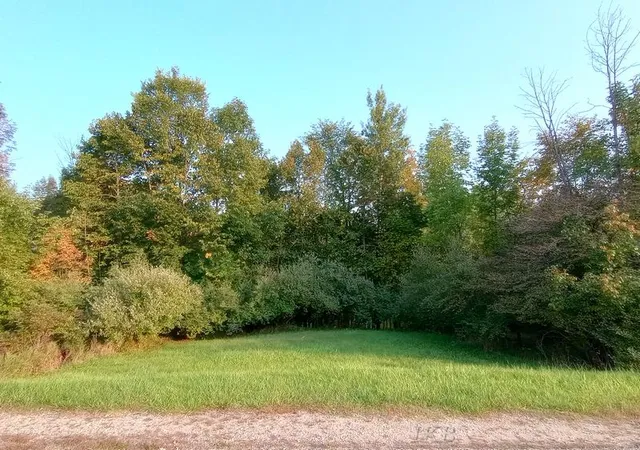 Photo 1 of Land for sale at Lots 60 61 Huntington Cir, Gladwin, MI 48624 | MLS# 50209474 | Listing updated on 2026-05-29